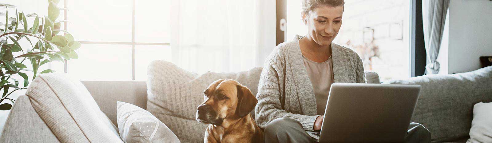 Woman with dog on a laptop sitting on her couch