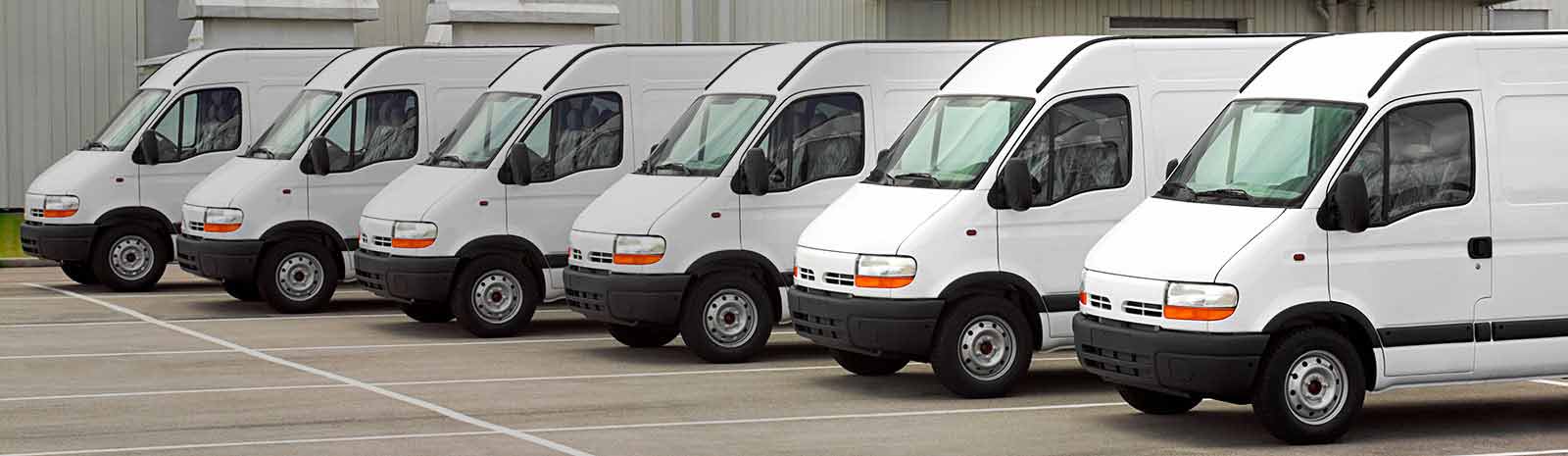 Business vehicles standing in a row in a parking lot.